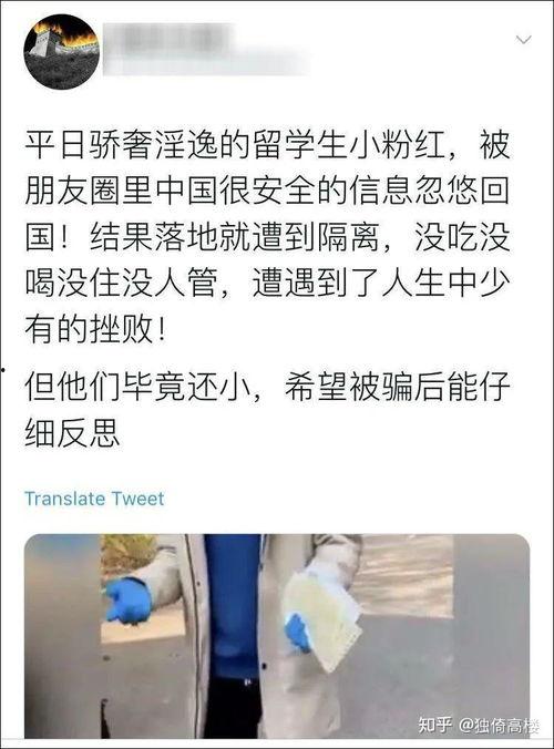 固原吃瓜事件始末,一场网络舆论的风波与反思 第1张 固原吃瓜事件始末,一场网络舆论的风波与反思 第1张